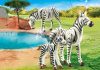 Playmobil 2 cebras con cría – 70356 2020 – El Mundo Click 70356