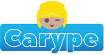 carype playmobil