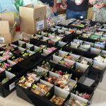 httpsi.ytimg .comviEvgsWs yTP4maxresdefault live.jpg