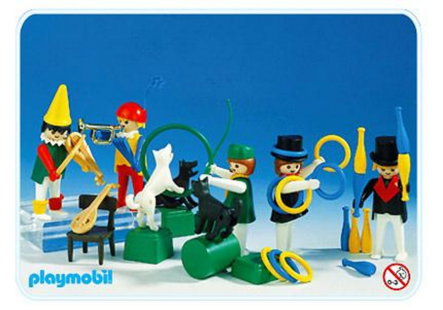 PLAYMOBIL 71748 - My Life Garçon avec famille de tortues dans un terrarium - La Poste