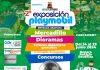 Exposición Playmobil Carcaixent 2024 exposicion plymobil carcaixent junio
