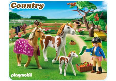 Playmobil Corral para caballos – 5227 A 2012 – El Mundo Click 5227 A