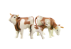 6356