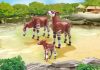 Playmobil 2 okapis con cría – 6643 2015 – El Mundo Click 6643