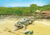 Playmobil Caimán con crías – 6644 2015 – El Mundo Click 6644