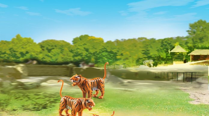 Playmobil 2 Tigres con Cría – 6645 2015 – El Mundo Click 6645