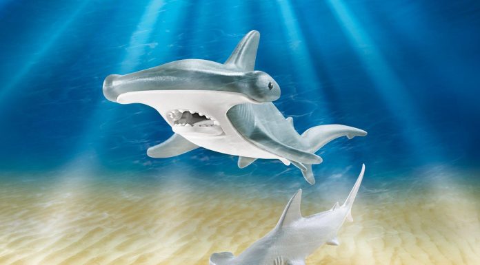Playmobil Tiburón martillo con cría – 9065 2017 – El Mundo Click 9065
