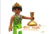 playmobil 70149v2 oriental princess