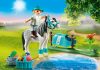 playmobil 70522 collectible classic pony