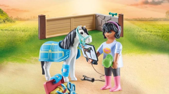 playmobil 71497 horse therapist