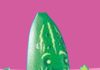 playmobil 71761v2 cucumber costume