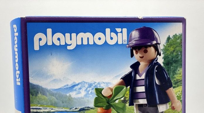 playmobil playmobil 70289