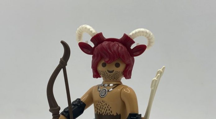 playmobil playmobil 70815