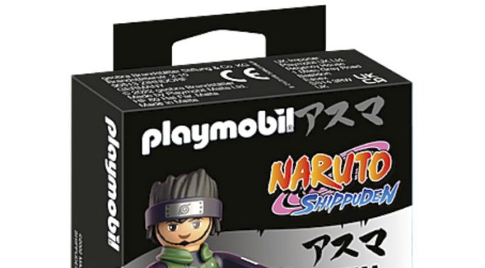 playmobil playmobil 71119