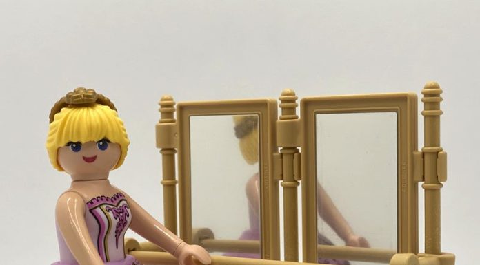 playmobil playmobil 71171