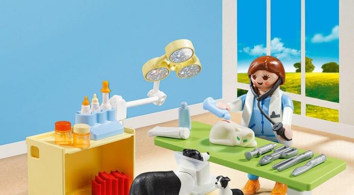 Playmobil USA Playmobil 5653 – Vet Visit Carry Case Playmobil USA Playmobil 5653 Vet Visit Carry Case