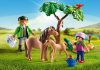 Playmobil USA Playmobil 5687 Vet with Pony and Foal