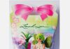 Playmobil 70178 Lechuza the Fairy Godmother