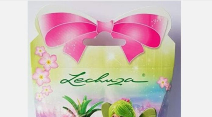 Playmobil 70178 Lechuza the Fairy Godmother