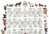 Playmobil 70527 Playmobil Pro – Starter Kit