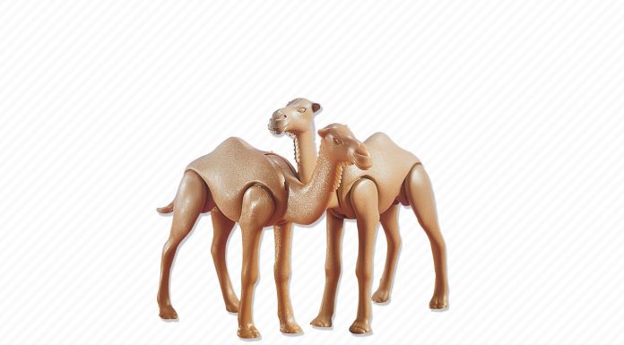 Playmobil 7586 2 dromedarios – Egipto 2003 – El Mundo Click Playmobil 7586 2 dromedarios