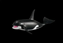 Playmobil 7654 Orca – Mundo acuático 2003 – El Mundo Click Playmobil 7654 Orca