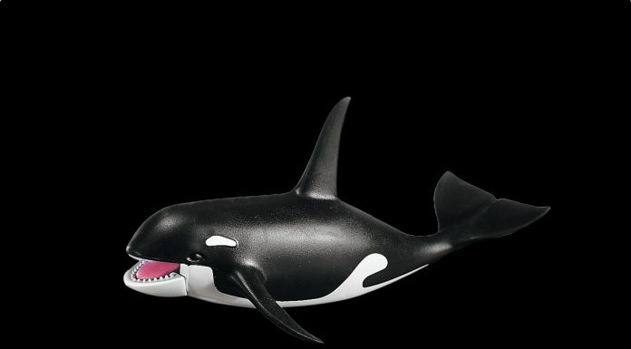 Playmobil 7654 Orca – Mundo acuático 2003 – El Mundo Click Playmobil 7654 Orca
