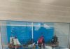 Diorama de piratas Playmobil en la urna del Hospital de La Plana, Vila-real